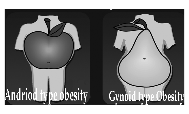 android body shape