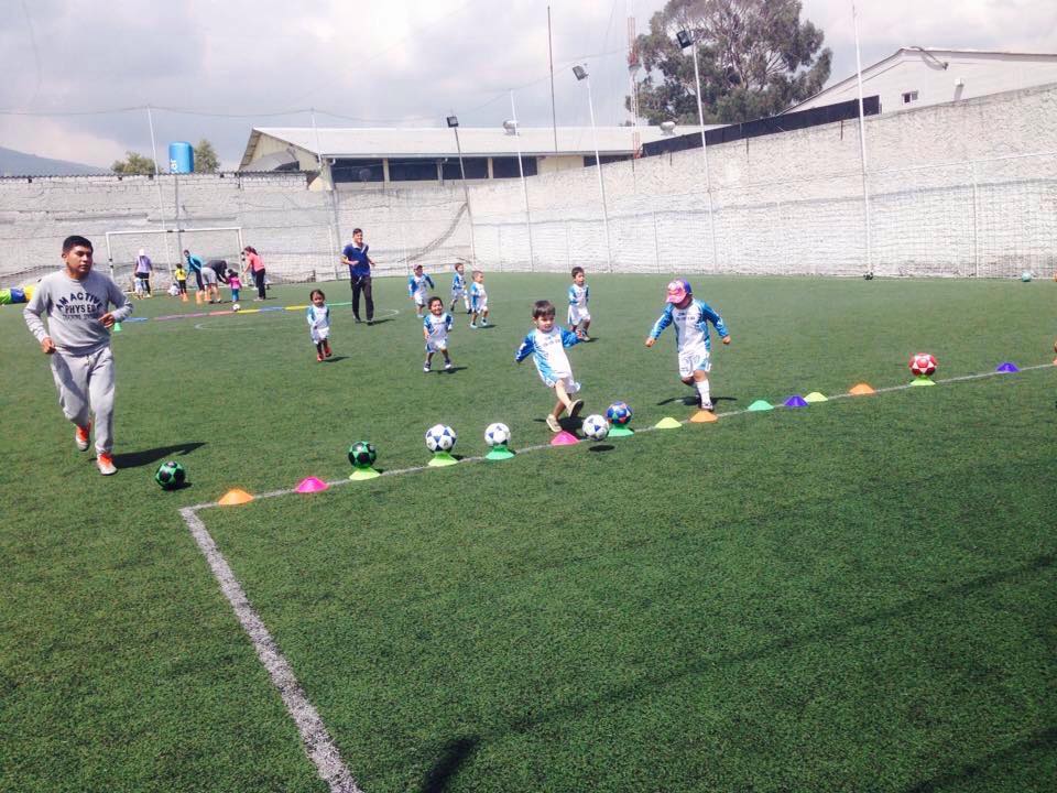 Grado Ciencias De La Actividad Física Y Del DEPORTE - Centro