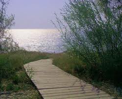 الرؤيا السليمة والمستقبل الافضل