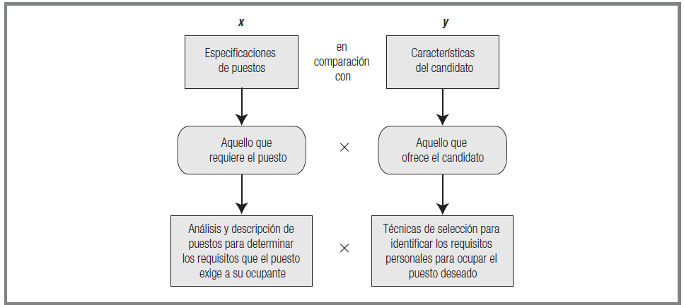 EL ARTE DEL RECURSO HUMANO: Seleccion de Personal