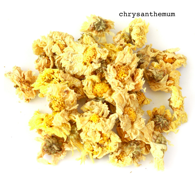 Learn about Chrysanthemum flower herbal tea and its potential health benefits on SeasonWithSpice.com