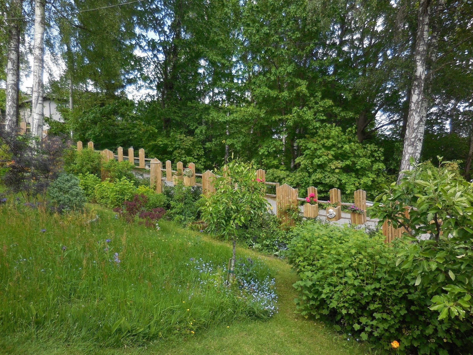 Klarbäret: egna äventyr.