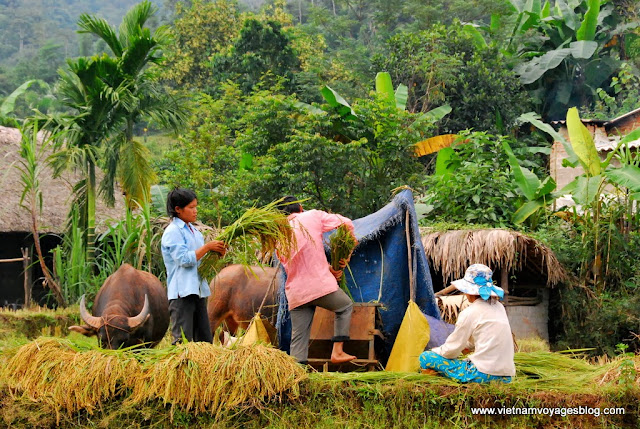Village Quang Bình, Hà Giang - Photo An Bui Village Quang Bình, Hà Giang - Photo An Bui