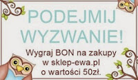 do 24.02.14.  Wyzwanie #22 - Kolorystyczna zabawa grubymi nićmi szyta