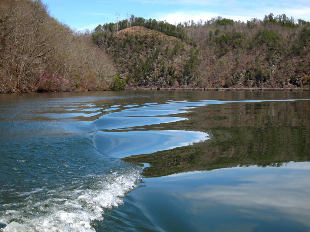 Gary's Outdoor Wanderings2 FORSYTHIA AND CHILHOWEE LAKE