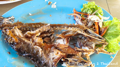 Eating seafood in Thailand