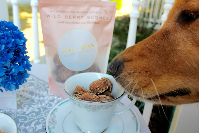 Leela Ryan Wild Berry Scone Organic Dog Treats Review Giveaway