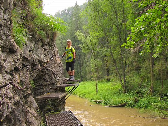 Stúpačky pod Zelenou horou. Stúpačky pod Zelenou horou.