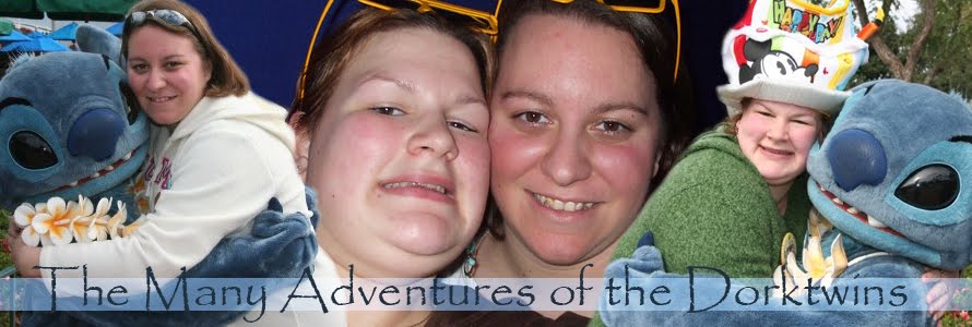 The Many Adventures of the Dorktwins