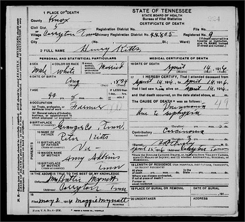 Dawning Genealogy: 52 Ancestors Week # 3 - Meet Henry Kitts