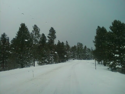 Snow or Ice on Roadway in Greer