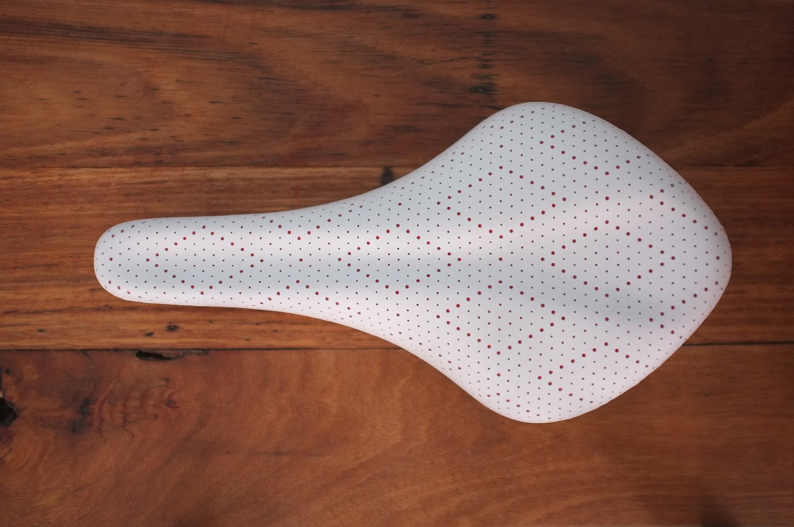fizik arione donna