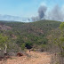 Incêndio é registrado Próximo a Fazenda do Prefeito Zé Arnaldo