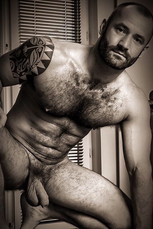 Gay hairy blog