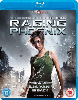 Raging Phoenix 2009 Hindi Dubbed BRRip 480p 300mb