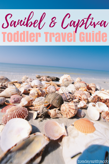 Sanibel and Captiva Toddler Travel Guide