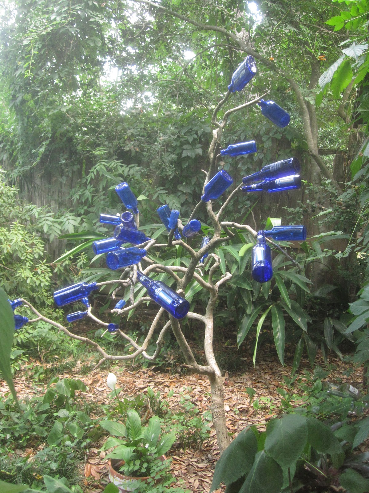 Tropical Texana LITTLE BLUE BOTTLES FOR A BOTTLE TREE