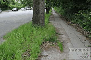 Brombeerweg / Hummelsbütteler Landstraße - Fake-"Radweg" © hamburgize.com / Stefan Warda