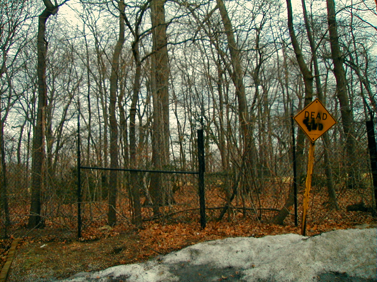 West Hempstead Photos 1956, 2004 and 2009