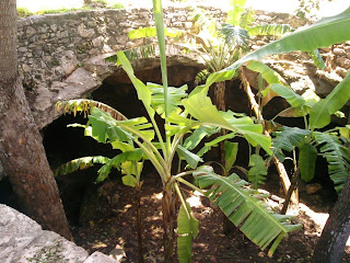 Cenote Chen Mul Mayapan