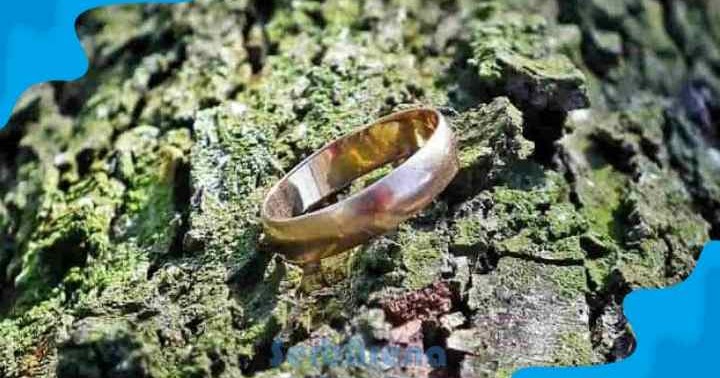 Arti Mimpi Menemukan Cincin Emas Menurut Primbon Jawa Situs Pendidikan Masa Kini Patih Akbar