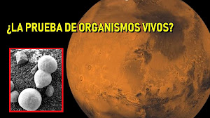 ¿Científicos prueban la existencia de VIDA EN MARTE?