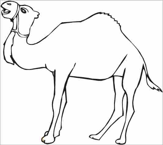 camel pages for coloring - photo #10