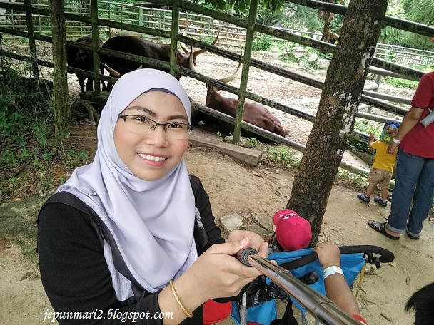 Zoo Negara, kou tunggu kami datang !! Zoo Negara, kou tunggu kami datang !!