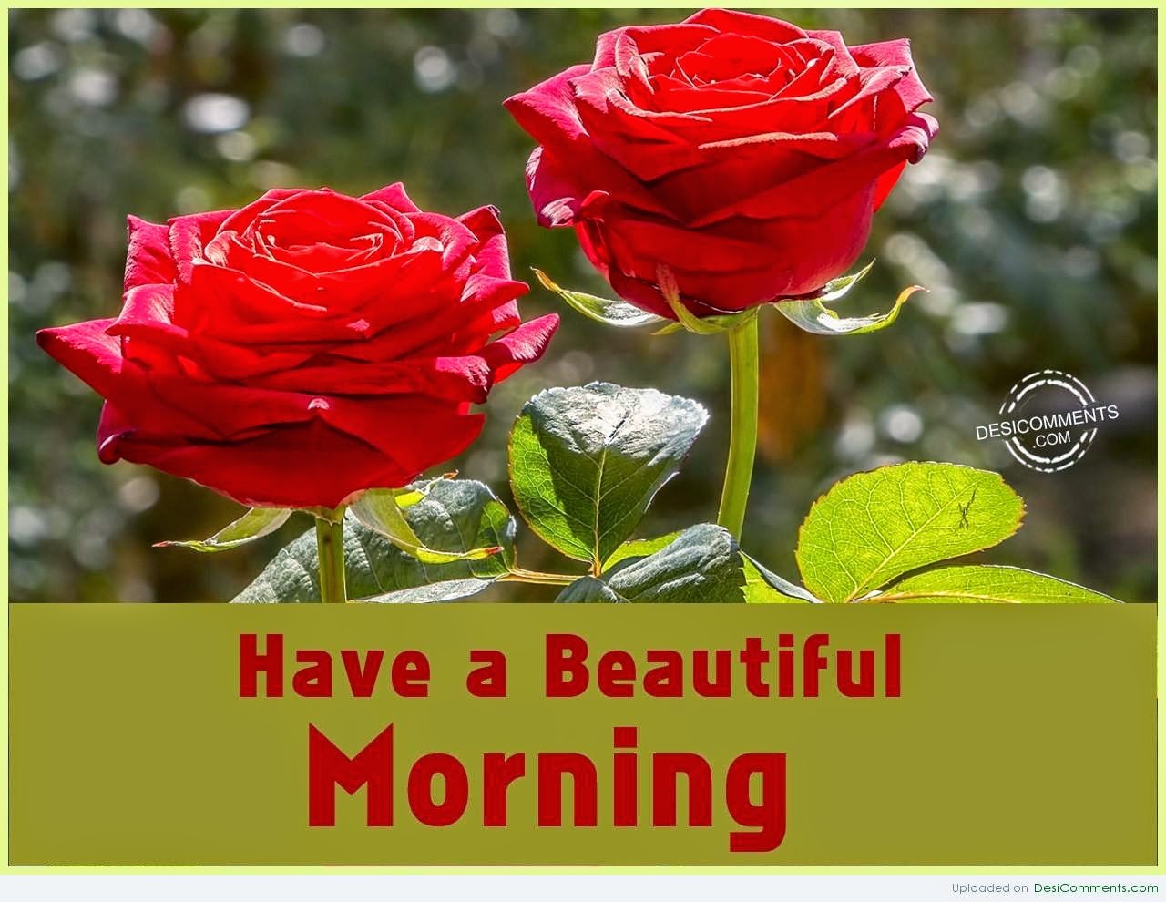 Love Flower Wishes Good Morning Wallpaper With Message