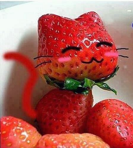 mes fraises