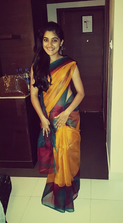 Niveda Thomas Saree Photos South Indian Actress