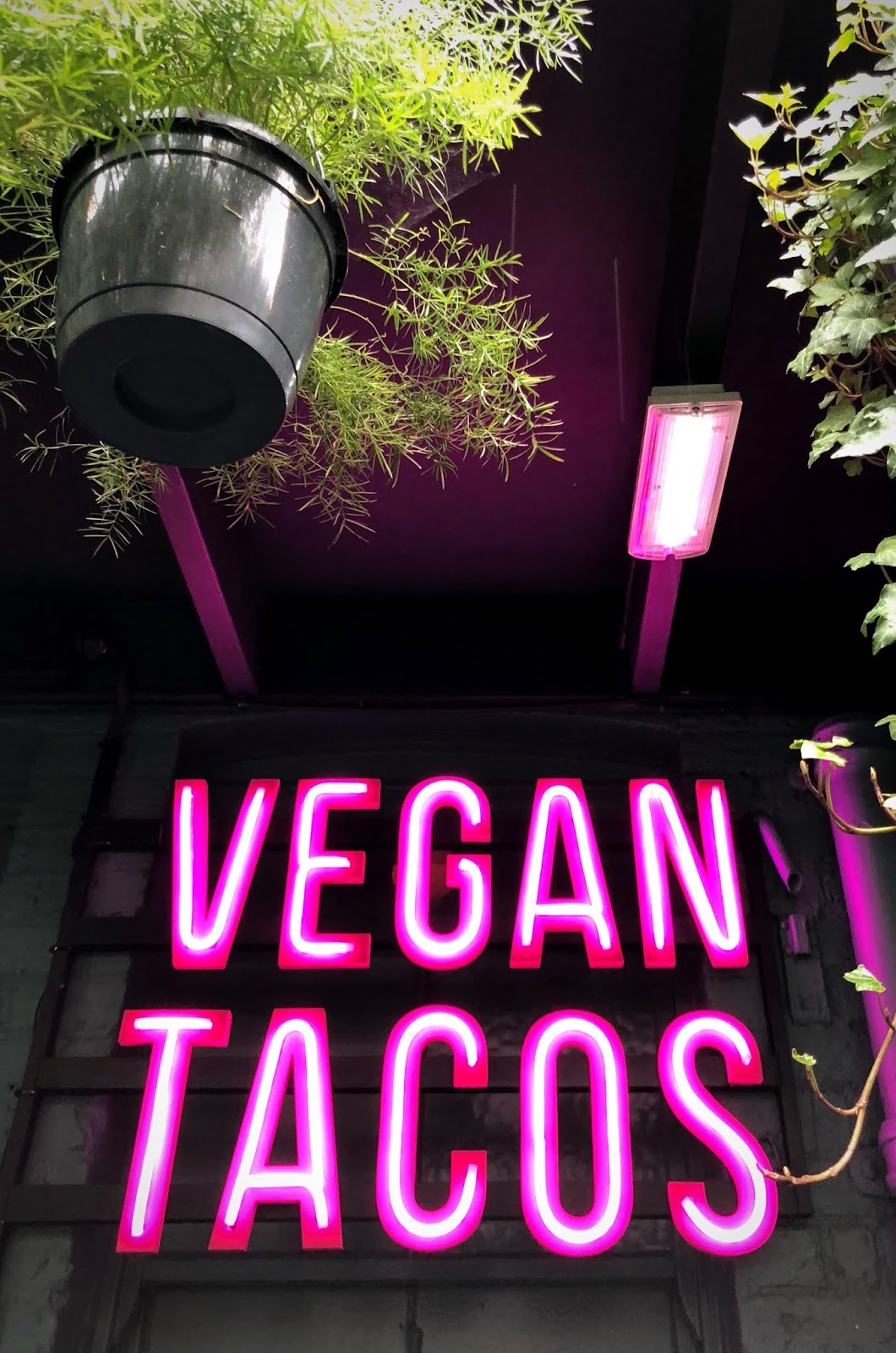 Club Mexicana at The Spread Eagle Vegan Sarahs Life And Style