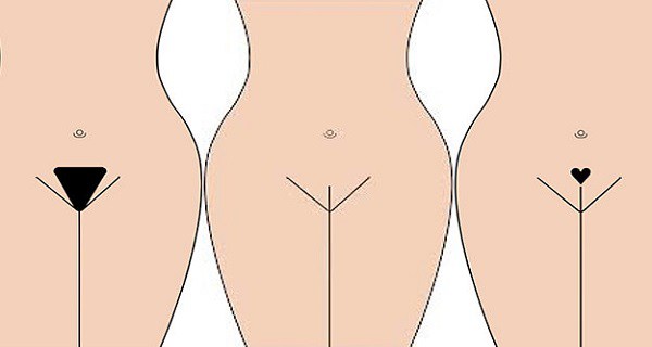 7 RAZONES POR LAS QUE USTED PUEDE SER QUE DESEE DEJAR SU PUBES SOLO 7 RAZONES POR LAS QUE USTED PUEDE SER QUE DESEE DEJAR SU PUBES SOLO