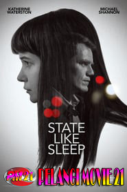 State-Like-Sleep State-Like-Sleep