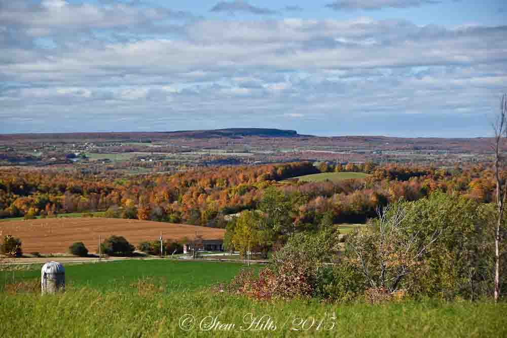 Seasons in the Valley + Furry Gnome's Adventures: Georgian Bay View