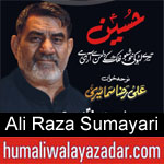 https://www.humaliwalyazadar.com/2018/09/ali-raza-sumayari-nohay-2019.html