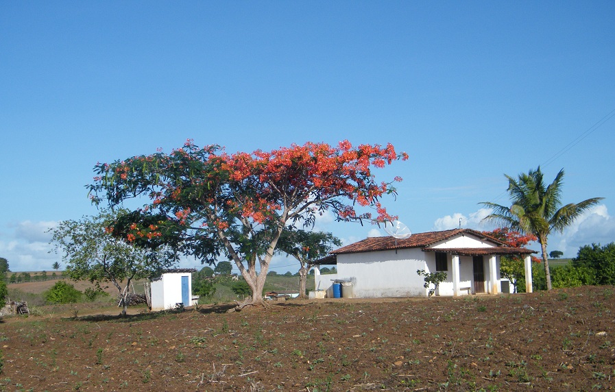 A Paraíba em Fotos Pilar, interior