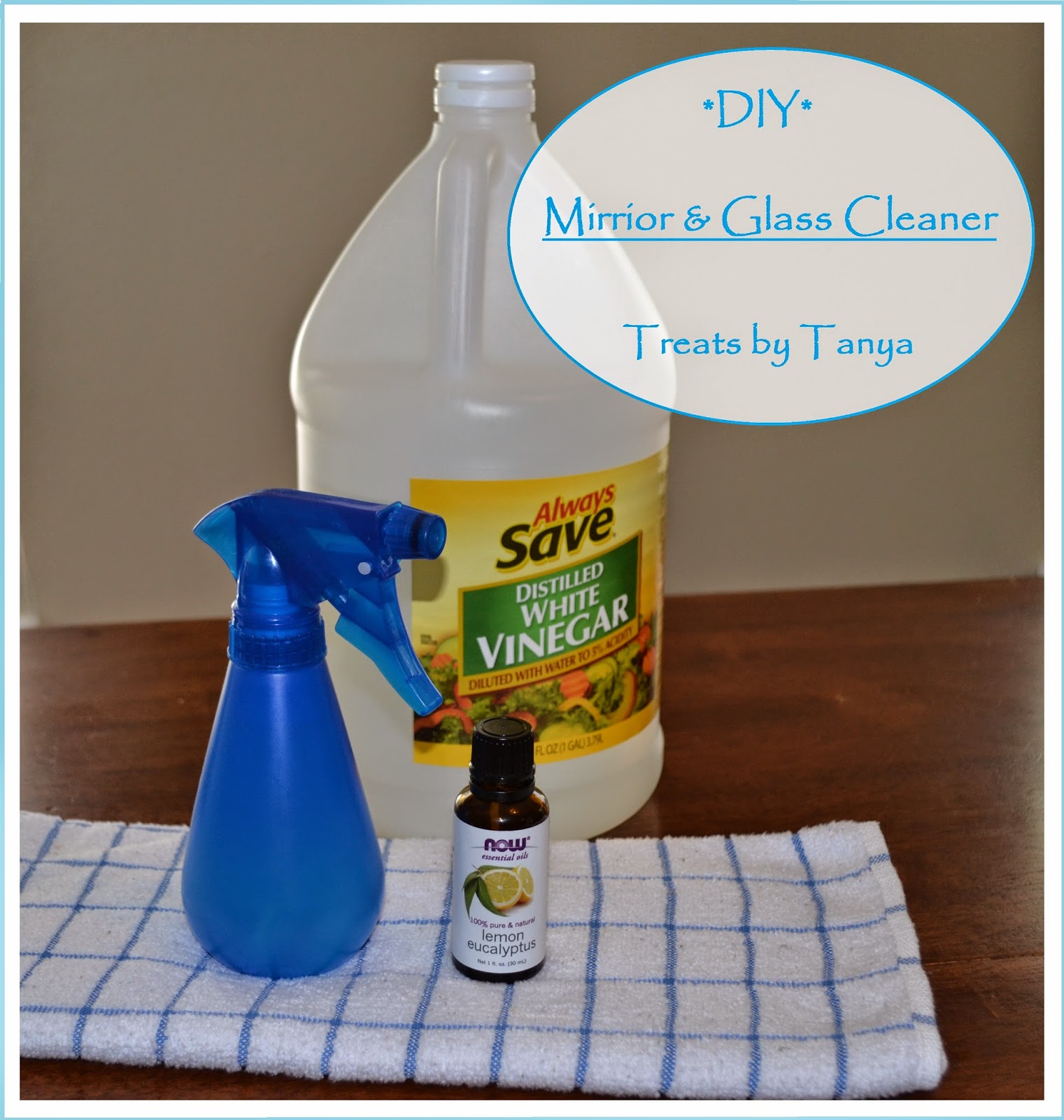 Treats by Tanya Glass & Mirror Cleaner {simple DIY tutorial}