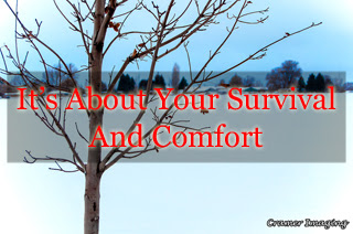 You need more than your camera gear on a nature photo shoot. Check out what else you need. www.cramerimaging.com #nature #naturephotography