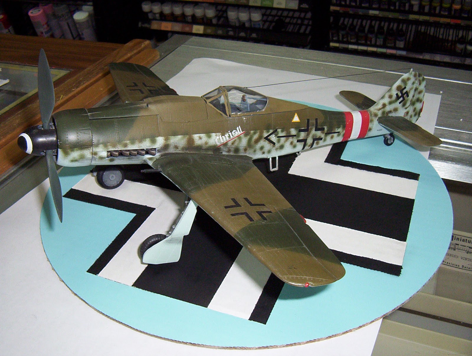 Scale Model Hobby Focke Wulf Fw 190 D9 132 scale