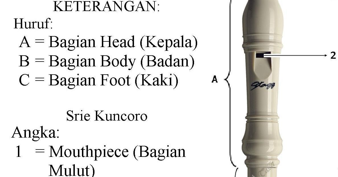 Cara Bermain Alat Musik Recorder Terbaru - Sanggar Model