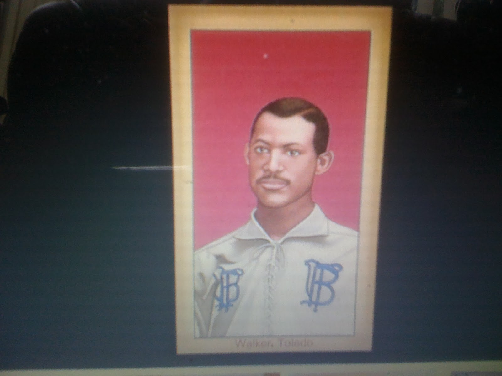 THE BLACK SOCIAL HISTORY BLACK SOCIAL HISTORY AFRICAN AMERICAN