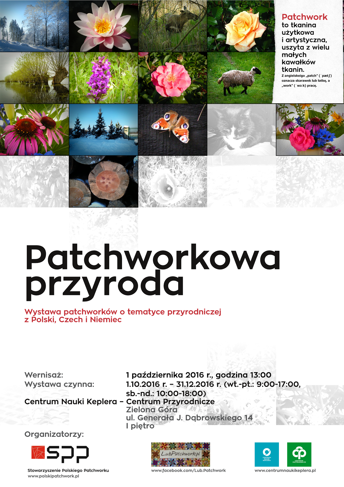 Patchworkowa przyroda