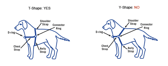 Ez Walk Harness Size Chart