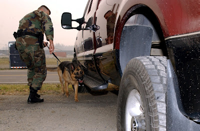 Military Working Dog