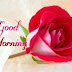 Best Good Morning Status Wishes in Hindi And English For Facebook WhatsApp