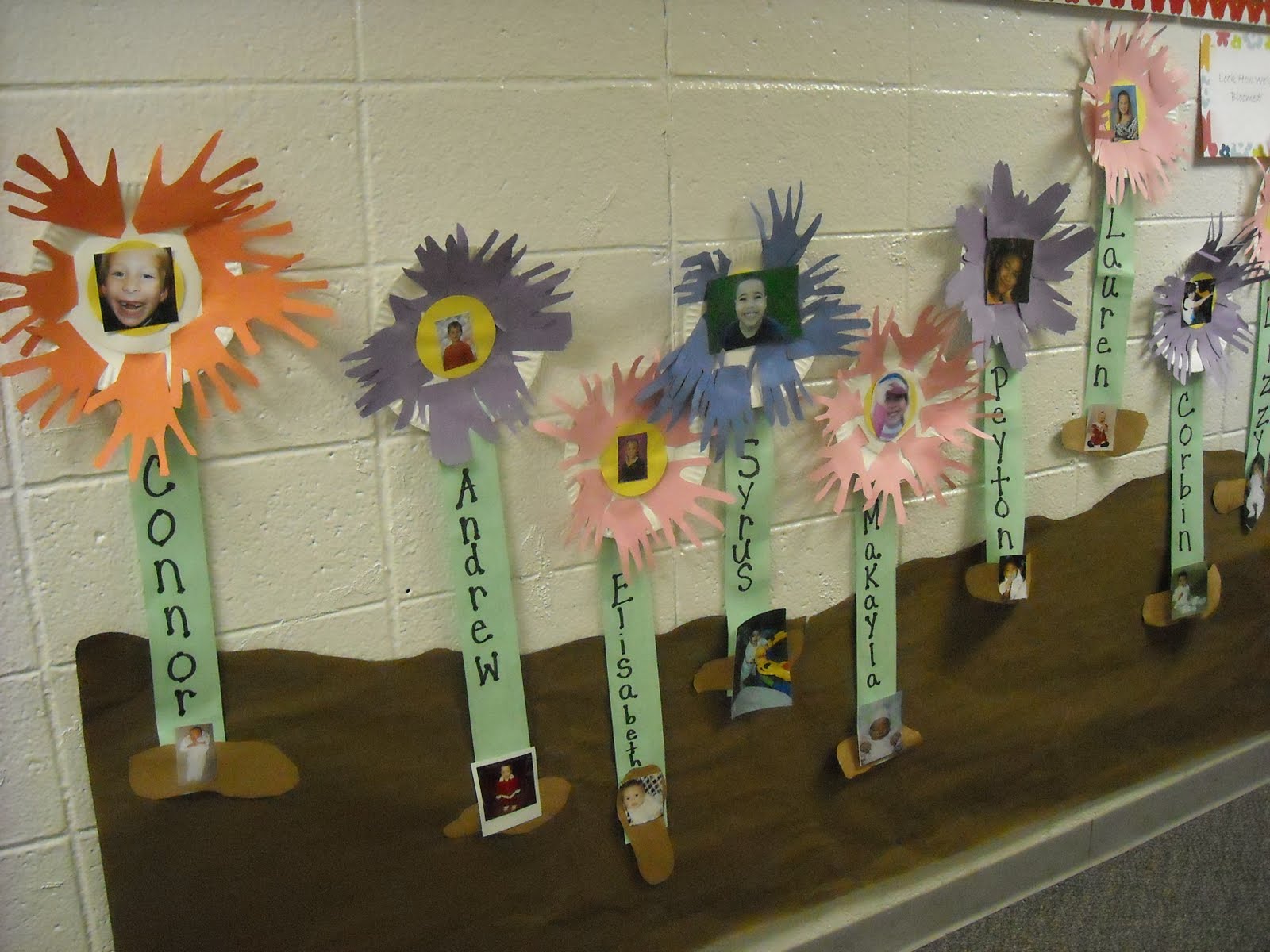 A journey through my LOVES... Look How We've Bloomed!