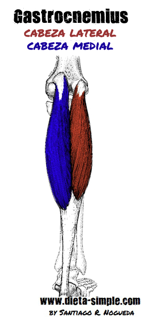 IMAD - Blog del Instituto: ¿Conoces Realmente como Entrenar tus