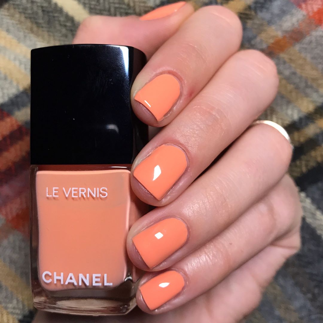 chanel-560-coquillage
