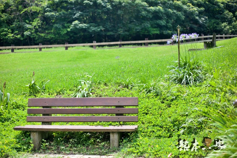 一秒到歐洲|苗栗飛牛牧場|最美牧場和大草原~野餐嬉戲觀乳牛、人工濕地護自然